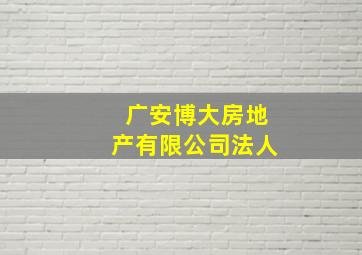 广安博大房地产有限公司法人