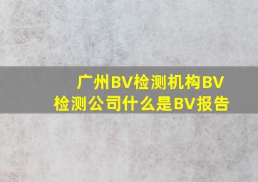 广州BV检测机构,BV检测公司,什么是BV报告