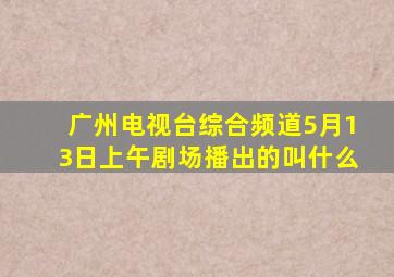 广州电视台综合频道5月13日上午剧场播出的叫什么