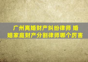 广州离婚财产纠纷律师 婚姻家庭财产分割律师哪个厉害