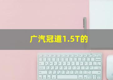 广汽冠道1.5T的