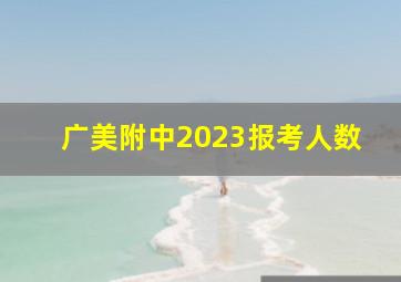 广美附中2023报考人数