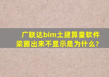 广联达bim土建算量软件梁画出来不显示是为什么?