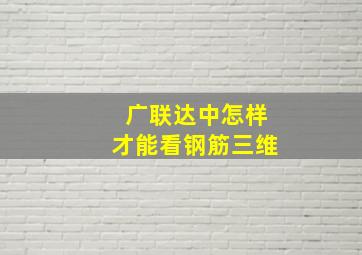 广联达中怎样才能看钢筋三维