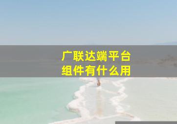 广联达端平台组件有什么用