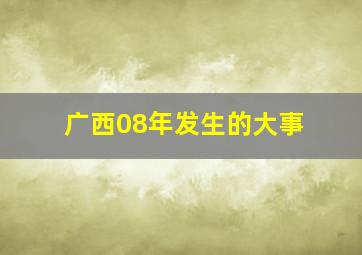 广西08年发生的大事