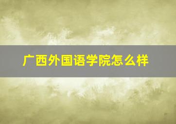 广西外国语学院怎么样