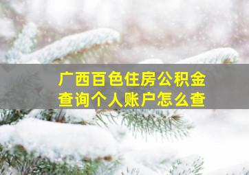 广西百色住房公积金查询个人账户怎么查