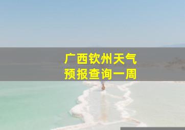 广西钦州天气预报查询一周