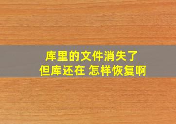 库里的文件消失了 但库还在 怎样恢复啊