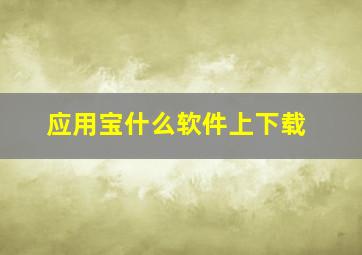 应用宝什么软件上下载