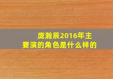 庞瀚辰2016年主要演的角色是什么样的