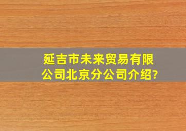 延吉市未来贸易有限公司北京分公司介绍?