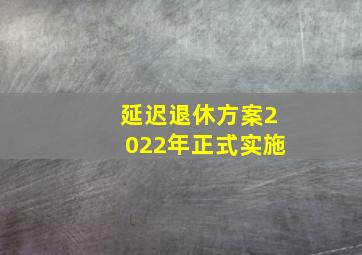 延迟退休方案2022年正式实施