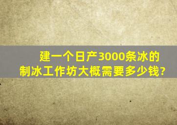 建一个日产3000条冰的制冰工作坊大概需要多少钱?