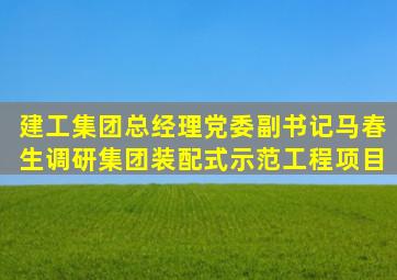 建工集团总经理、党委副书记马春生调研集团装配式示范工程项目