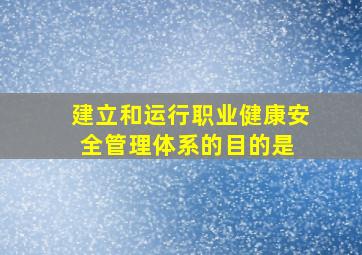 建立和运行职业健康安全管理体系的目的是( )。