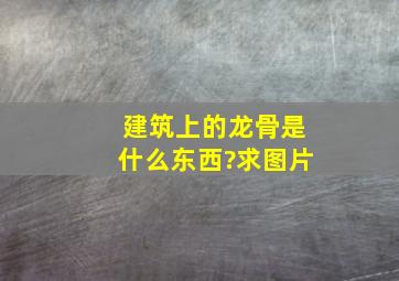 建筑上的龙骨是什么东西?求图片