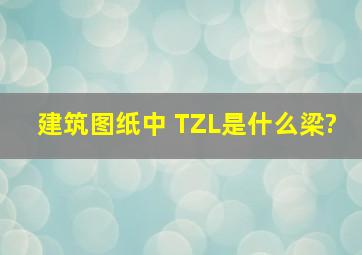 建筑图纸中 TZL是什么梁?