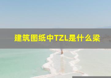 建筑图纸中TZL是什么梁