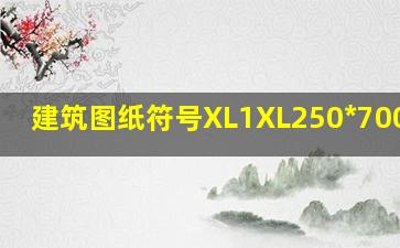 建筑图纸符号XL1(XL)250*700/600