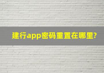 建行app密码重置在哪里?