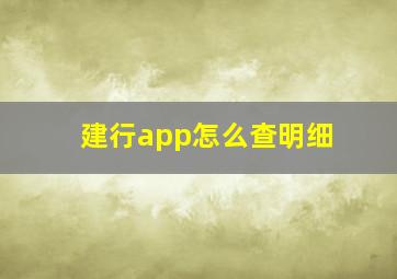 建行app怎么查明细