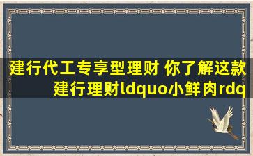 建行代工专享型理财 你了解这款建行理财“小鲜肉”吗