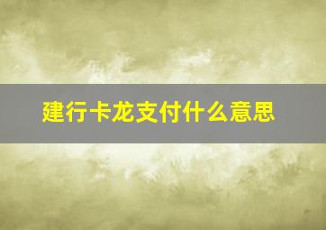 建行卡龙支付什么意思(