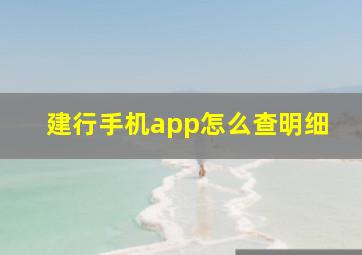 建行手机app怎么查明细