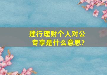 建行理财个人对公专享是什么意思?