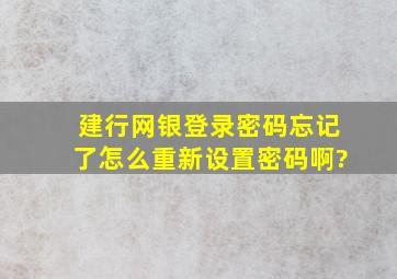 建行网银登录密码忘记了,怎么重新设置密码啊?