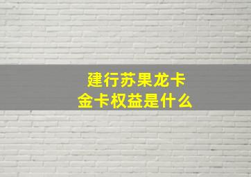 建行苏果龙卡金卡权益是什么