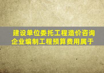 建设单位委托工程造价咨询企业编制工程预算费用属于( )。