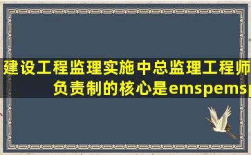 建设工程监理实施中,总监理工程师负责制的核心是(  )。