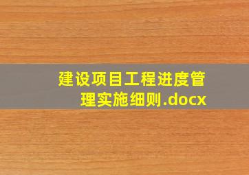 建设项目工程进度管理实施细则.docx