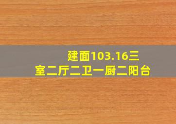 建面103.16三室二厅二卫一厨二阳台