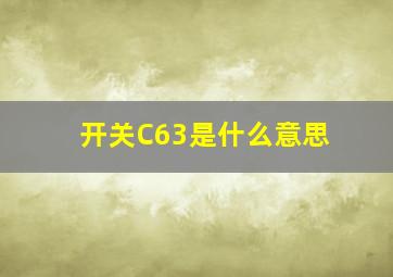 开关C63是什么意思