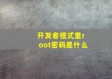 开发者模式里root密码是什么