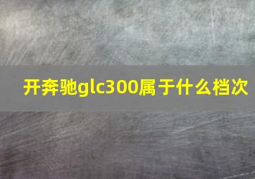 开奔驰glc300属于什么档次