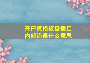 开户资格核查接口内部错误什么意思