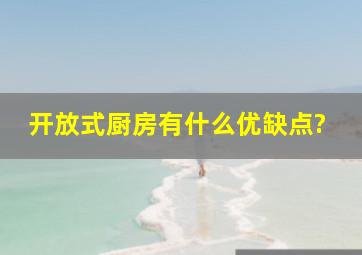 开放式厨房有什么优缺点?