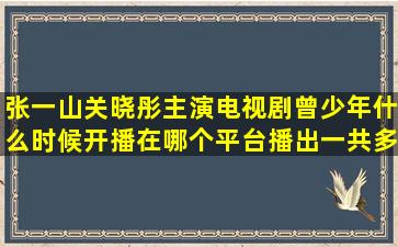 张一山关晓彤主演电视剧曾少年什么时候开播在哪个平台播出一共多少集