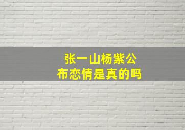 张一山杨紫公布恋情是真的吗