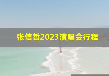 张信哲2023演唱会行程
