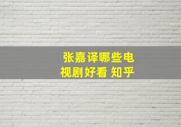 张嘉译哪些电视剧好看 知乎