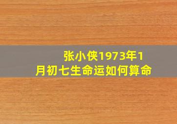 张小侠,1973年1月初七生命运如何算命