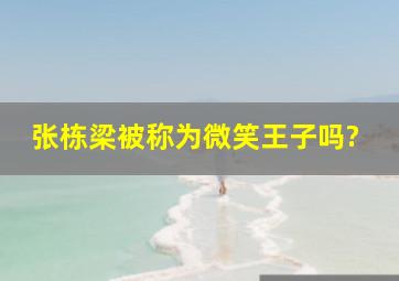 张栋梁被称为微笑王子吗?