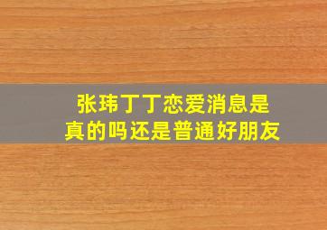 张玮、丁丁恋爱消息是真的吗(还是普通好朋友(