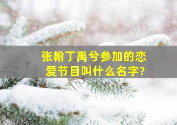 张翰丁禹兮参加的恋爱节目叫什么名字?